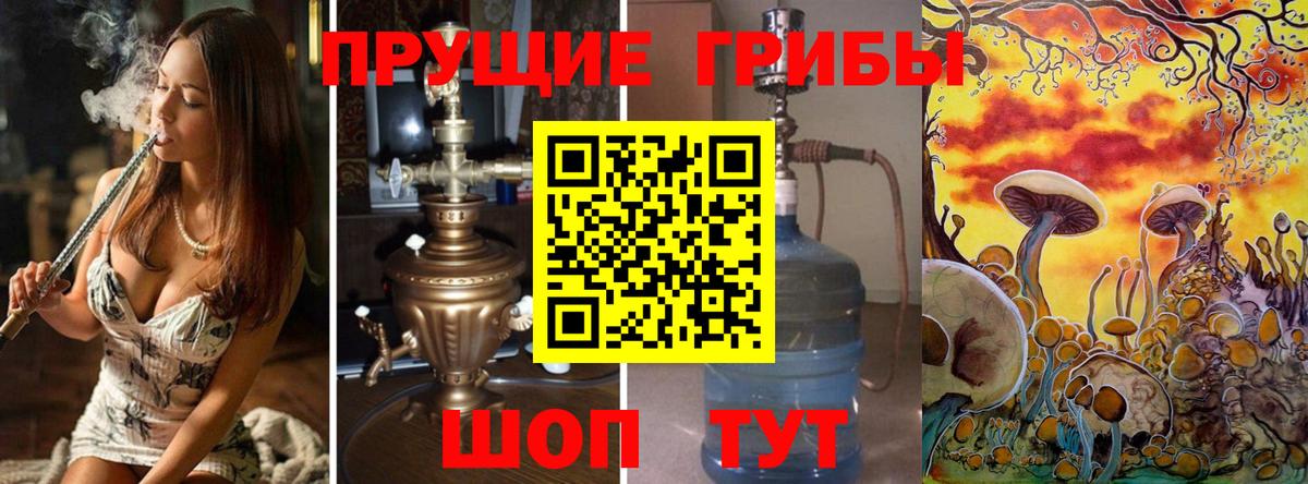 Псилоцибиновые грибы Psilocybine cubensis Сегежа
