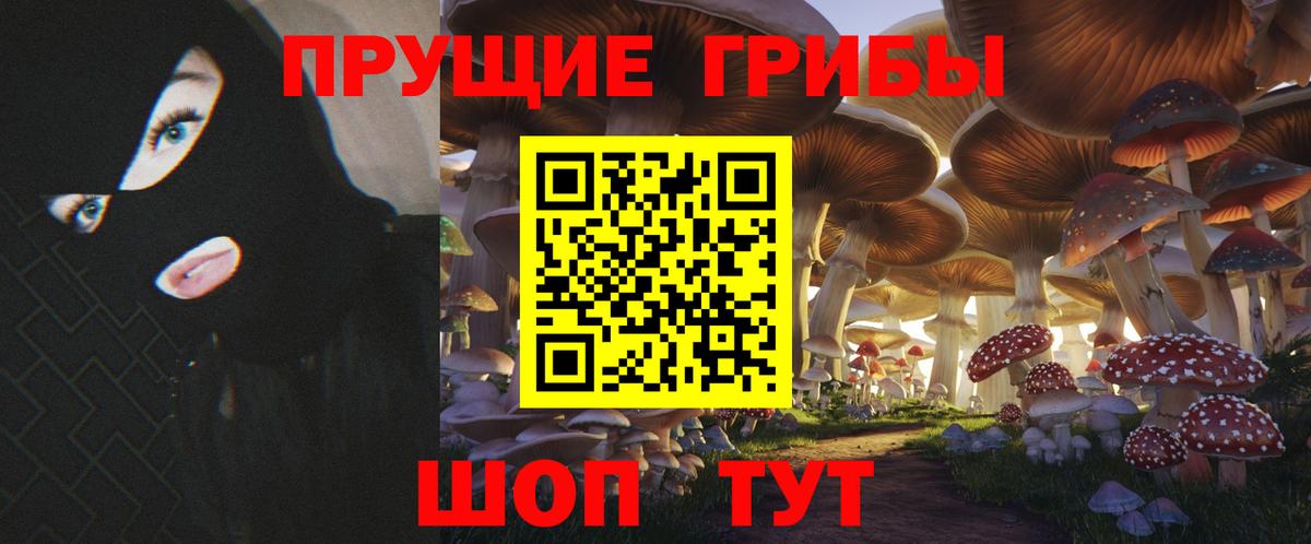 Сегежа  Галлюциногенные грибы Psilocybine cubensis  Вход с VPN 